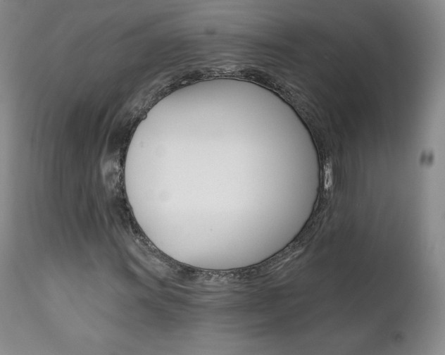 X0000112001011200908031041