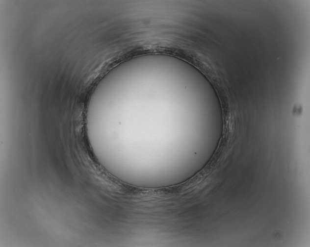 X0000112001012200908031041