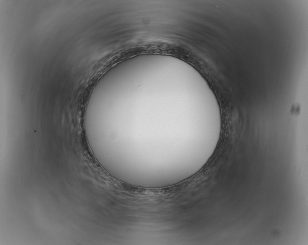 X0000112001013200908031041