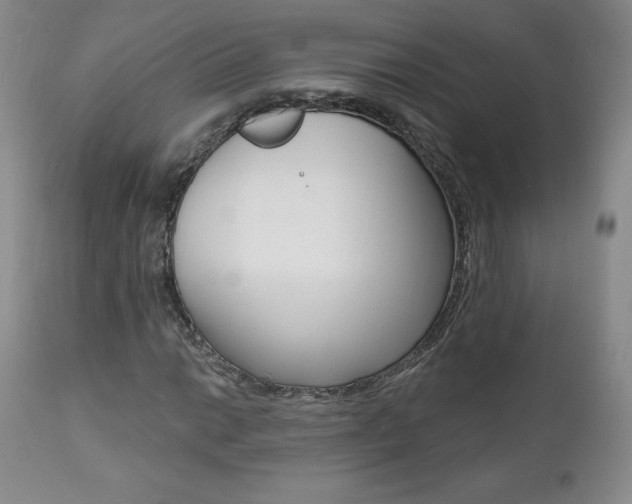 X0000112001014200908031041