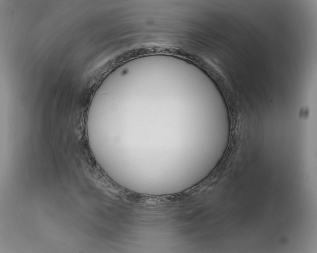 X0000112001015200908031041