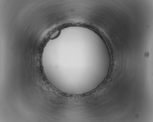 X0000112001016200908031041