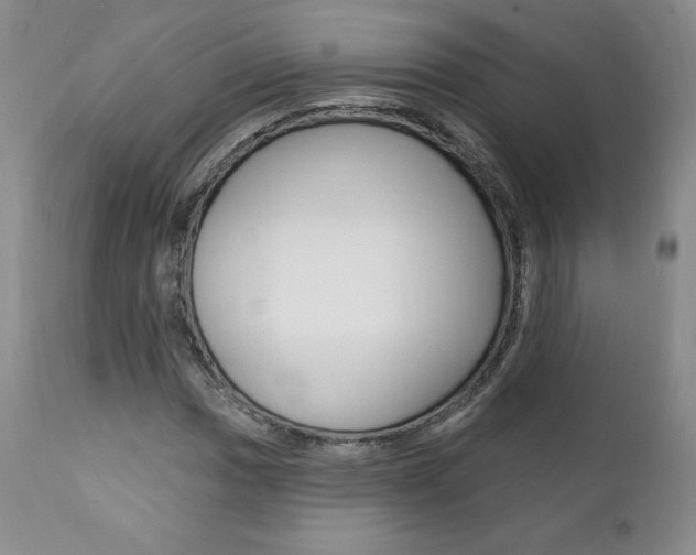 X0000112001017200908031041