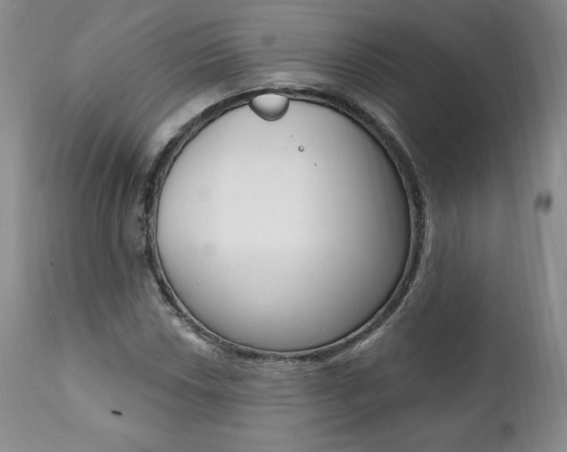 X0000112001018200908031041
