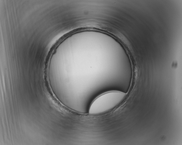 X0000112001020200908031041