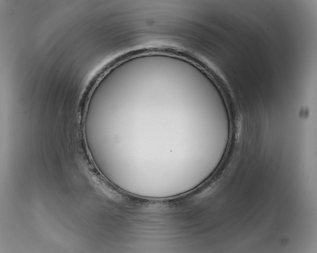 X0000112001021200908031041