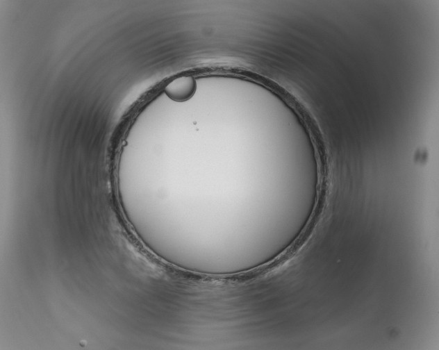 X0000112001022200908031041