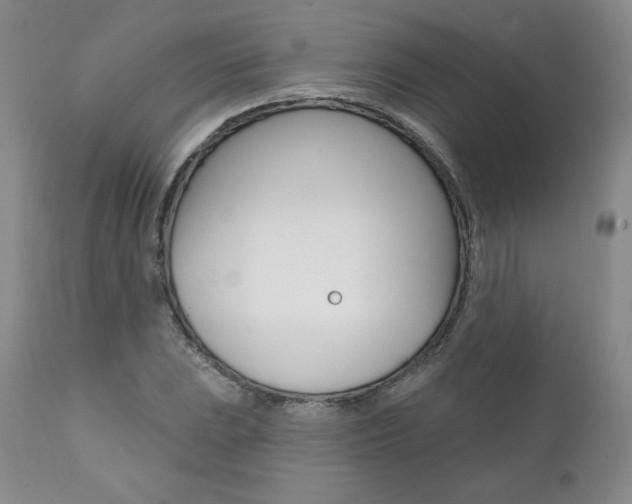 X0000112001023200908031041