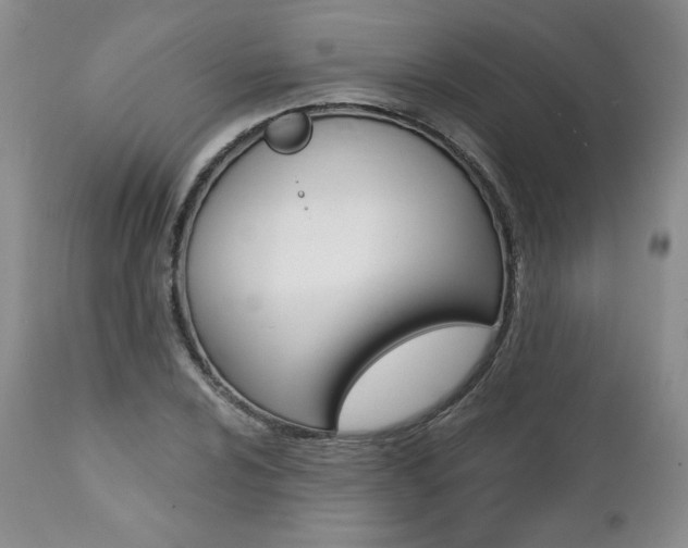 X0000112001024200908031041