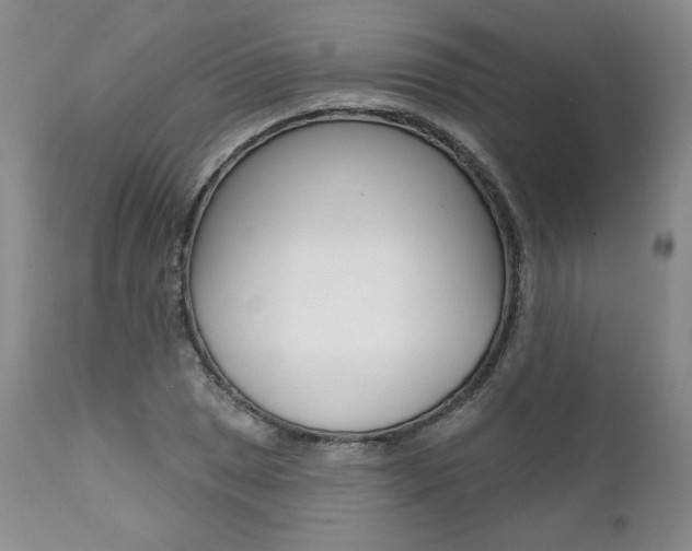X0000112001025200908031041