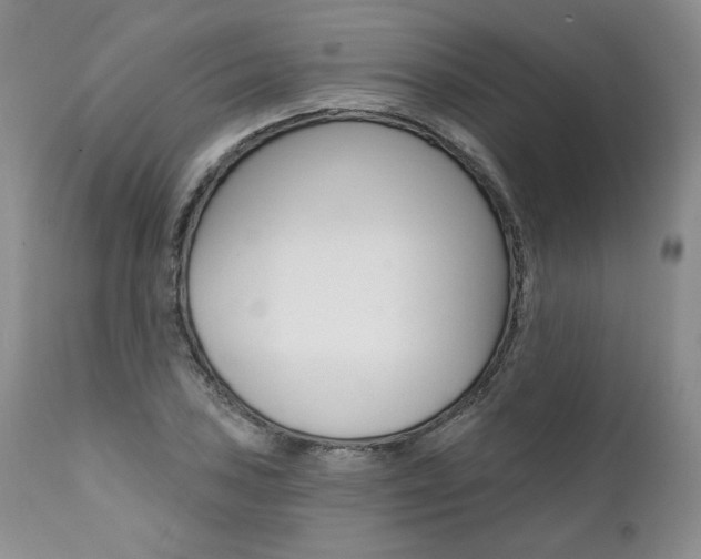 X0000112001027200908031041