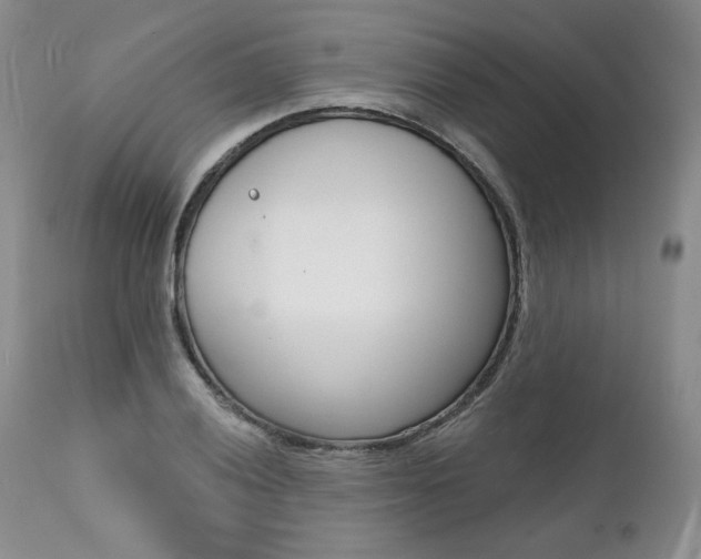 X0000112001028200908031041