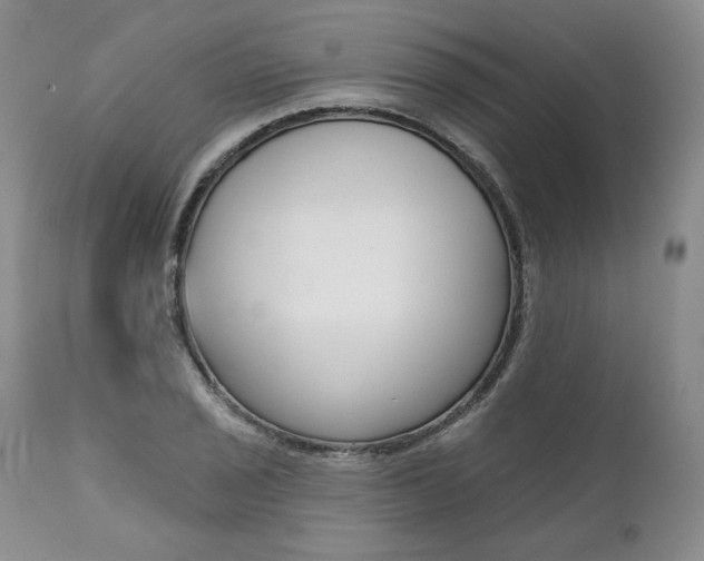 X0000112001029200908031041