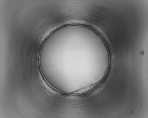X0000112001033200908031041