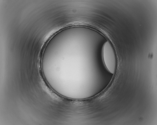 X0000112001034200908031041