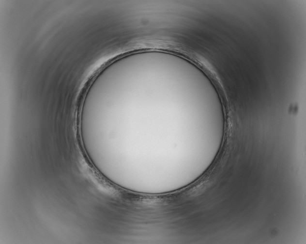 X0000112001035200908031041