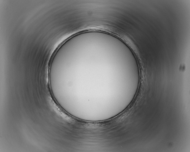 X0000112001036200908031041