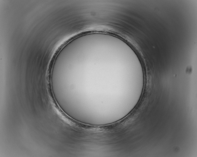 X0000112001037200908031041