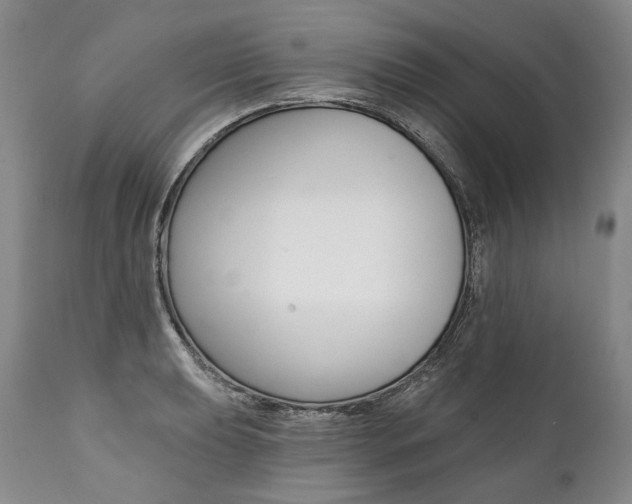 X0000112001039200908031041