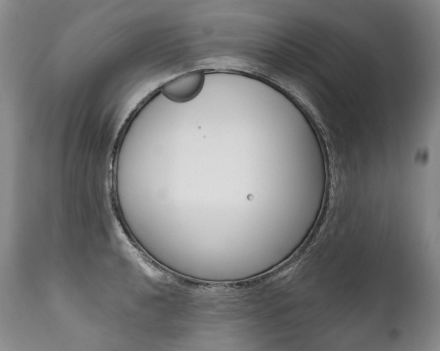 X0000112001040200908031041