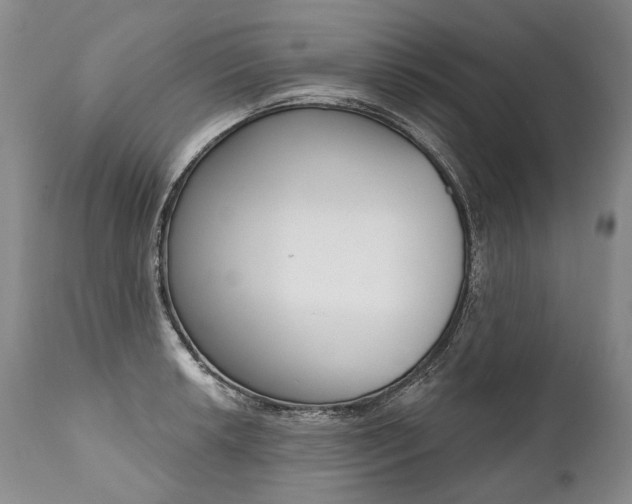 X0000112001042200908031041