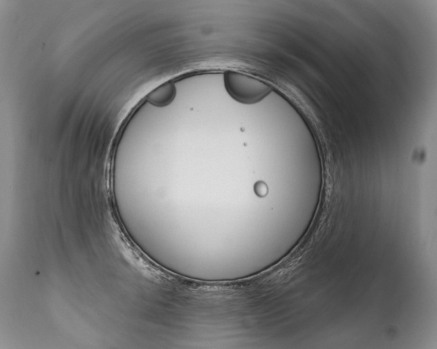 X0000112001044200908031041