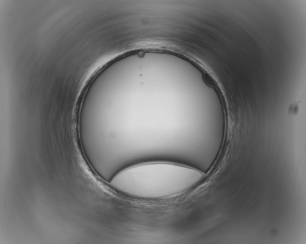 X0000112001045200908031041
