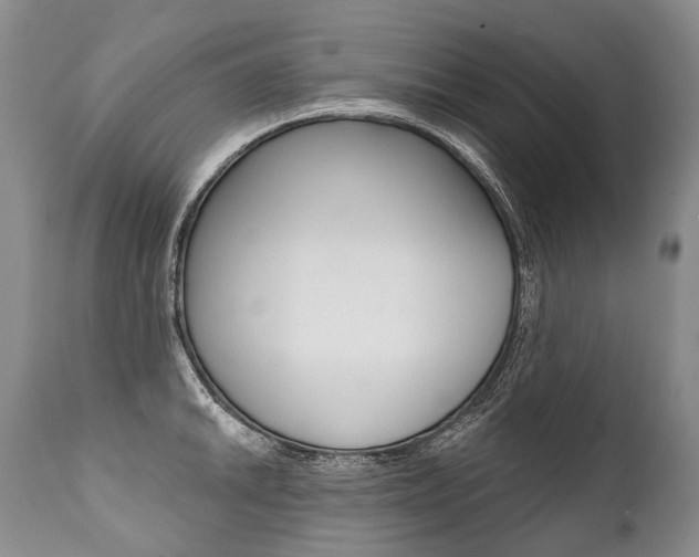 X0000112001046200908031041