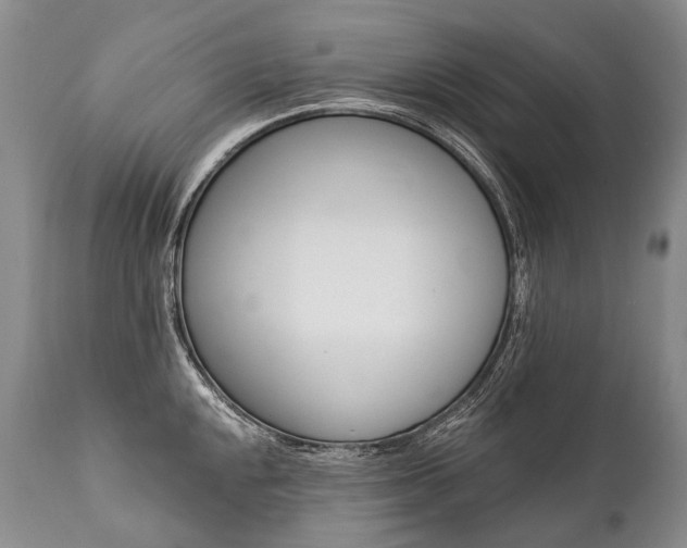 X0000112001048200908031041