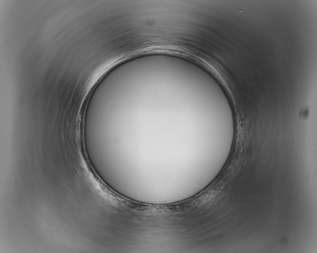 X0000112001050200908031041