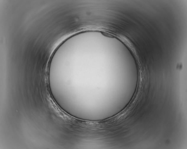 X0000112001052200908031041