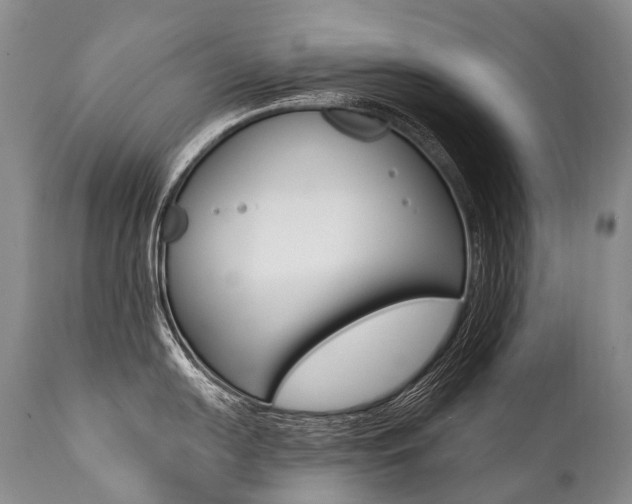 X0000112001054200908031041