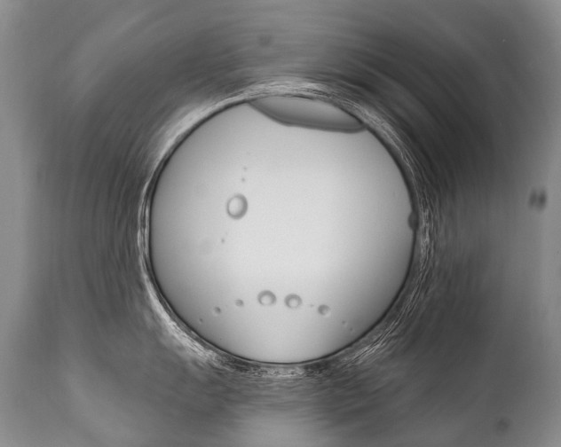 X0000112001055200908031041