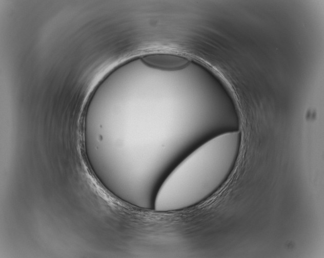 X0000112001056200908031041