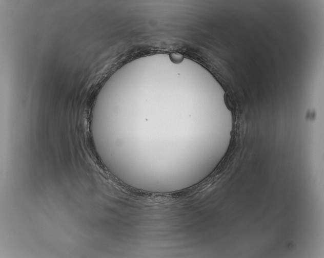 X0000112001058200908031041