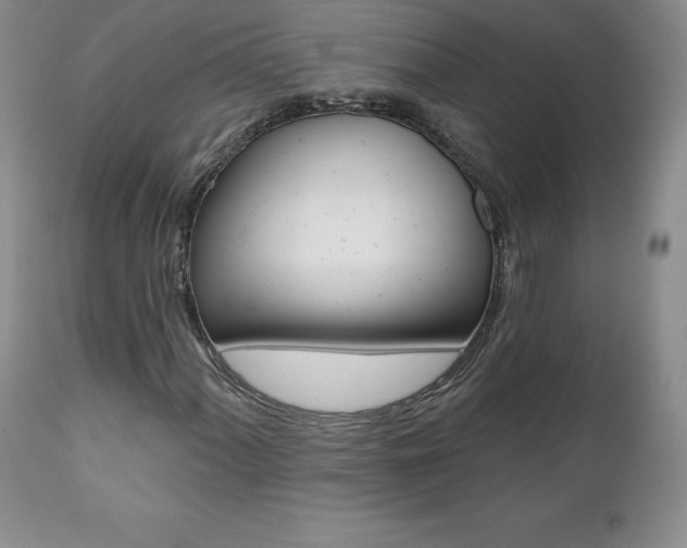 X0000112001060200908031041