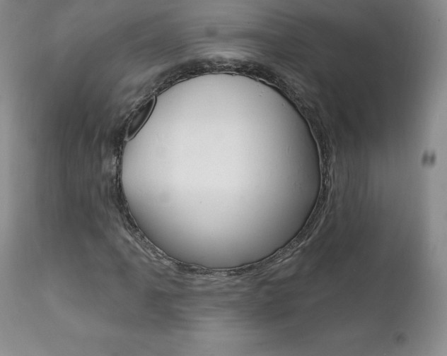 X0000112001061200908031041