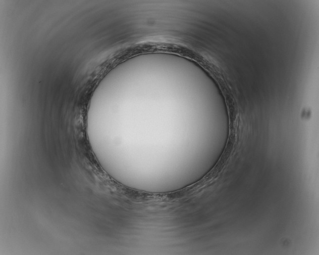 X0000112001062200908031041