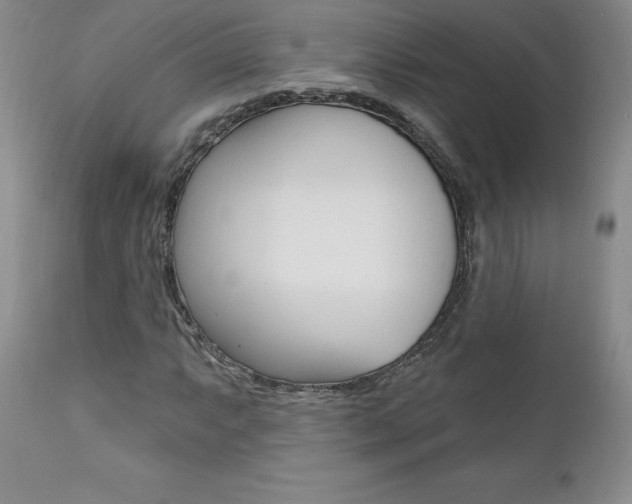 X0000112001063200908031041