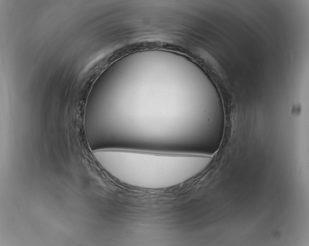 X0000112001064200908031041