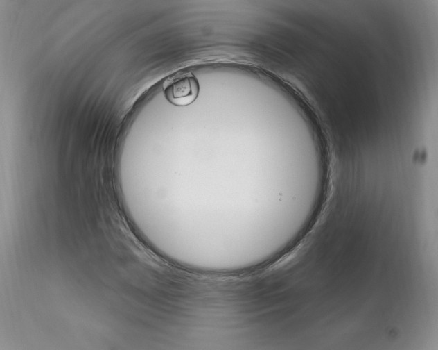X0000112001065200908031041