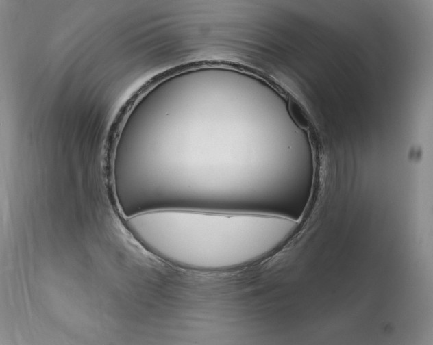 X0000112001068200908031041