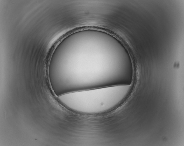 X0000112001069200908031041