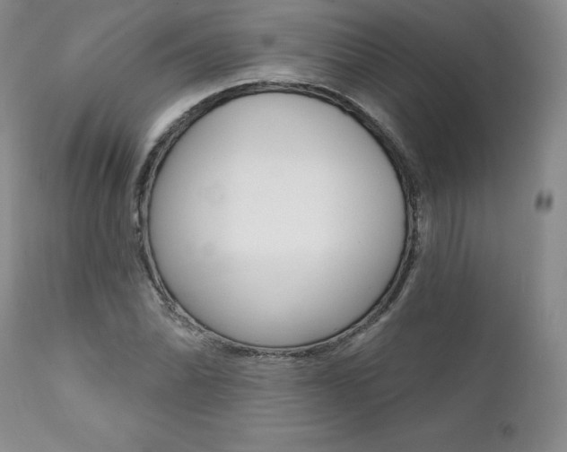 X0000112001070200908031041