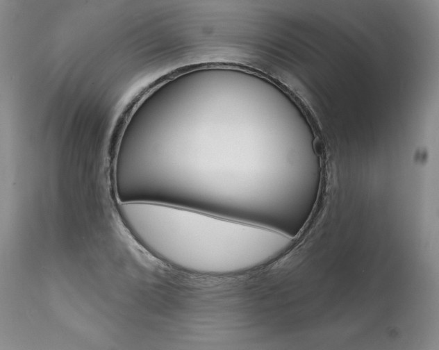 X0000112001072200908031041