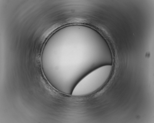 X0000112001073200908031041