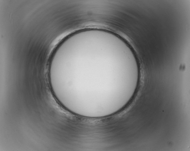 X0000112001074200908031041