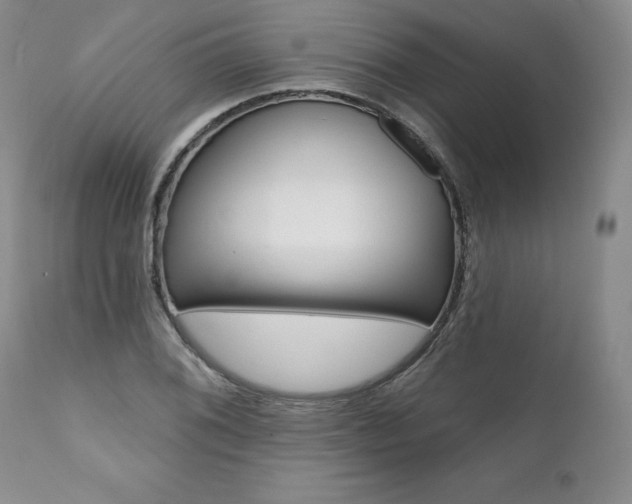 X0000112001076200908031041