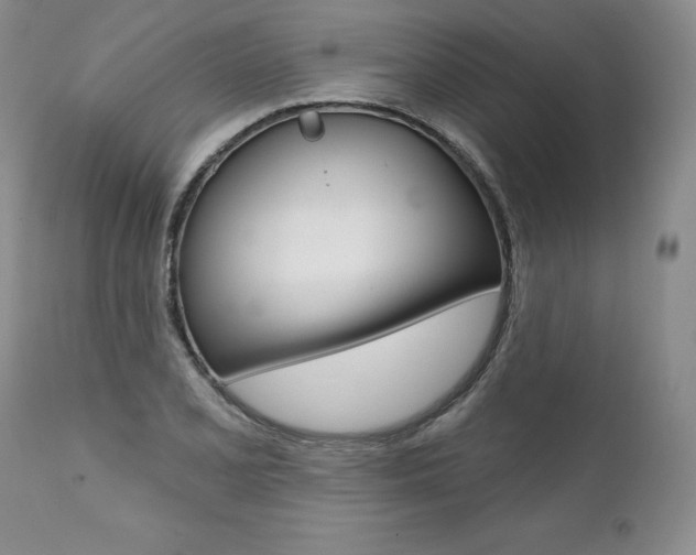 X0000112001077200908031041