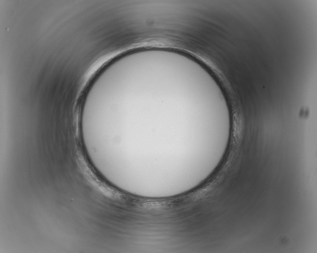 X0000112001078200908031041